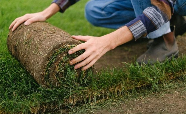 Natural sod being installed by Hawkins Landscaping as an alternative to artificial turf installation.