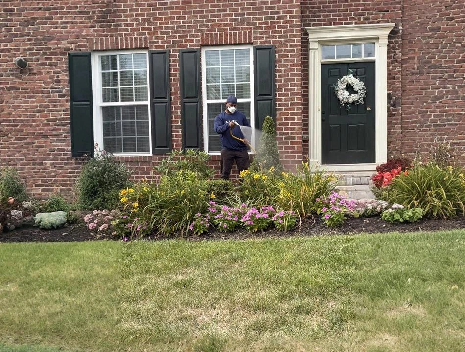 Lawn care expert from Hawkins Landscaping watering plants during fall maintenance in a front yard.