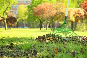 Green rake gathering fallen leaves on grass during a Late-Summer Lawn Rescue by Hawkins Landscaping
