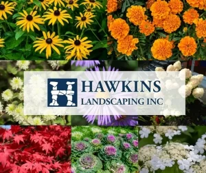 Collage of colorful fall landscaping plants including flowers, shrubs, and trees with the Hawkins Landscaping Inc. logo at the center.