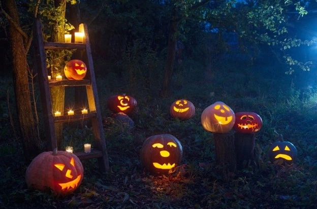 A group of glowing jack-o’-lanterns arranged on tree stumps and a wooden ladder surrounded by trees and grass, illustrating creative landscaping ideas for front yard Halloween décor by Hawkins Landscaping.