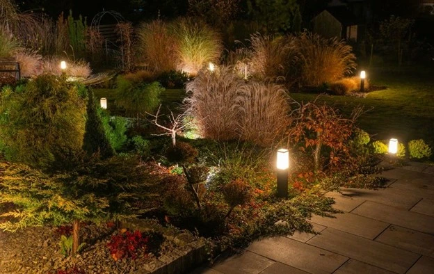Beautiful garden illuminated with modern landscaping lights by Hawkins Landscaping, showcasing elegant plants and outdoor design at night.