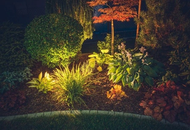 A beautifully landscaped garden bed illuminated at night, showcasing a variety of colorful landscaping plants with vibrant foliage and accent lighting — by Hawkins Landscaping.