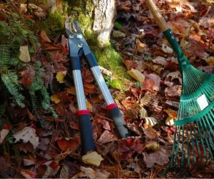 fall landscaping cleanup tools on autumn leaves by Hawkins Landscaping