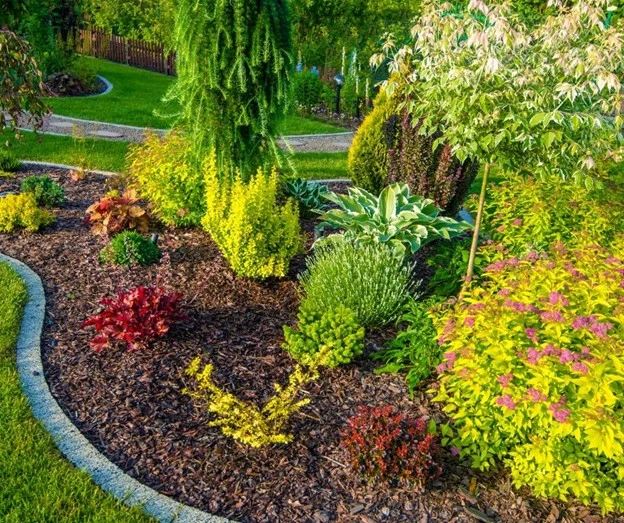 Colorful front yard landscaping design with curved mulch beds, decorative edging, and layered shrubs, created by Hawkins Landscaping.