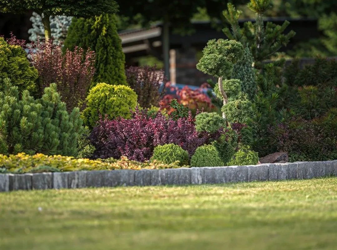 Low maintenance landscaping with neatly trimmed shrubs, native plants, and stone edging, designed by Hawkins Landscaping.