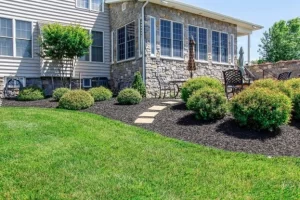 Professional landscaping design featuring a stone home exterior, neatly mulched garden beds, shrubs, and a stepping-stone path, by Hawkins Landscaping.