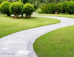 Curved stone walkways for backyard landscapes surrounded by green lawn, shrubs, and garden plants by Hawkins Landscaping.