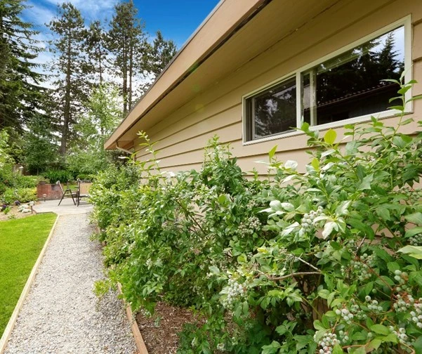 Charming gravel walkway leading through a lush backyard with greenery, providing a practical and aesthetic solution for backyard landscaping, designed by Hawkins Landscaping.