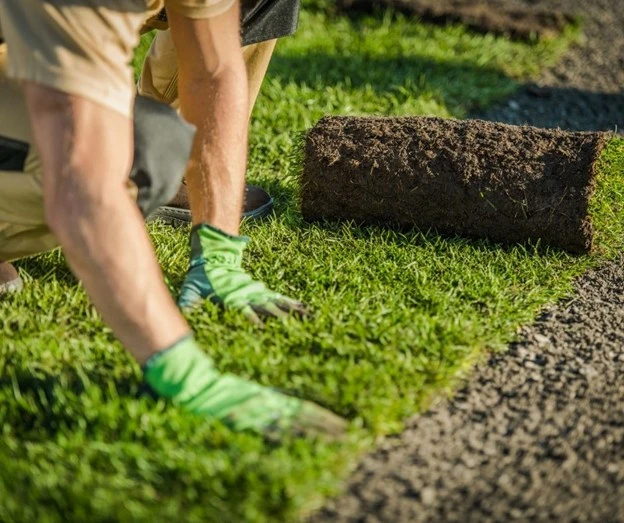 Boost curb appeal with expert turf lawn care tips. Get a lush, healthy yard with affordable lawn care services in Frederick, MD.