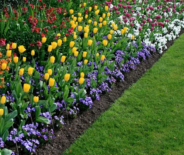 Landscaping design with colorful spring flower beds and green lawn by Hawkins Landscaping.