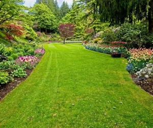 Landscaping design with a lush green lawn, colorful flower beds, and mature trees by Hawkins Landscaping.